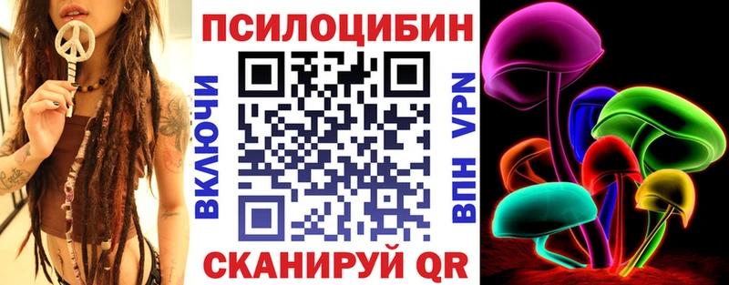 Купить где  Чернушка  Псилоцибиновые грибы Psilocybine cubensis 